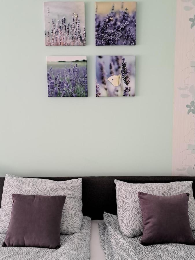 Hotel Soul Palić Esterno foto